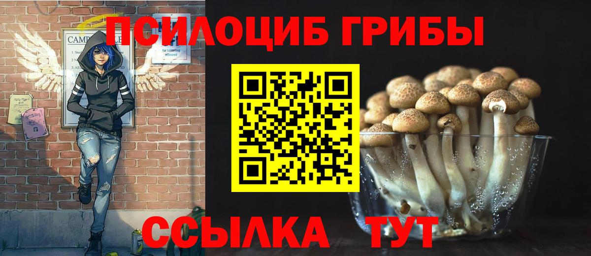 Псилоцибиновые грибы Psilocybe  Вход с VPN  Краснодар 